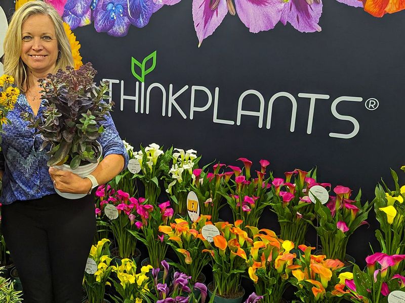 Joey Wiseman holding a potted plant at the ThinkPlants display at Cultivate 2023
